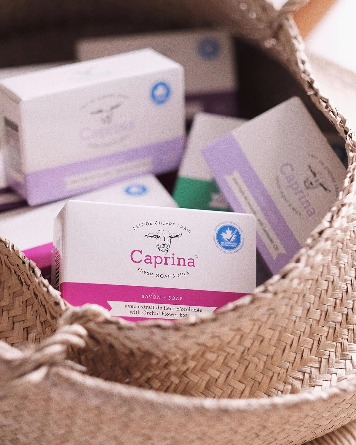Caprina by Canus Bar Soap 3.2 Oz 6 Pack With Fresh Canadian Goat Milk Vitamin A B3 Potassium Zinc and Selenium 6, Shea Butter, 1 Count